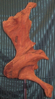 cossak