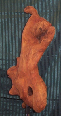 cossak