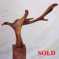 Click for details and enlargements of Flight