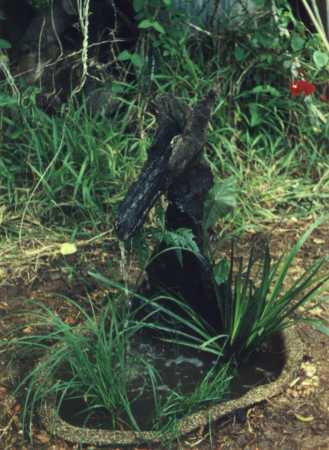 River Oak root sculptured Fountain 'Sea Horse' 2000
