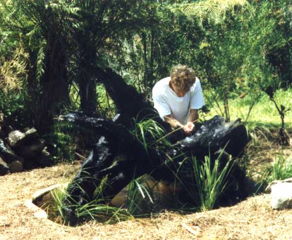 River Oak root sculptured Fountain 'Goanna'