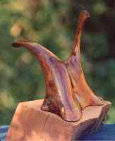 Enlargement of Senses No1.