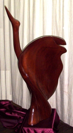 swan lake