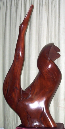 swan lake