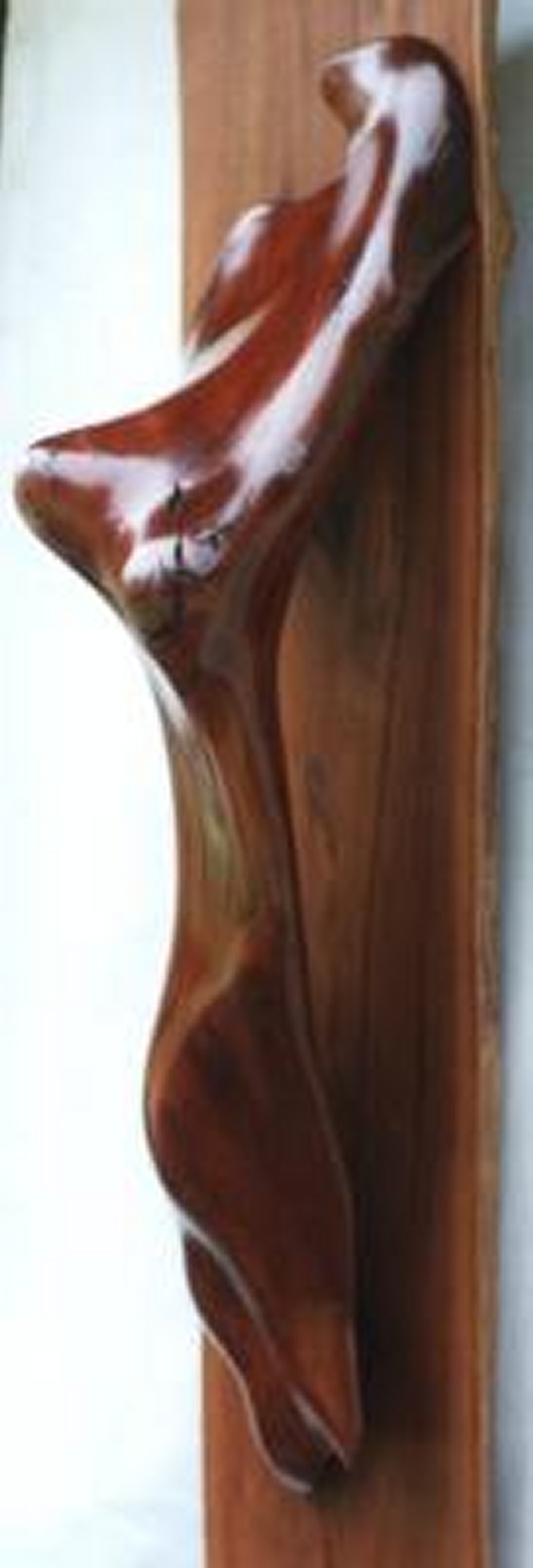 Torsa right view