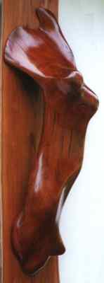 Torsa left view