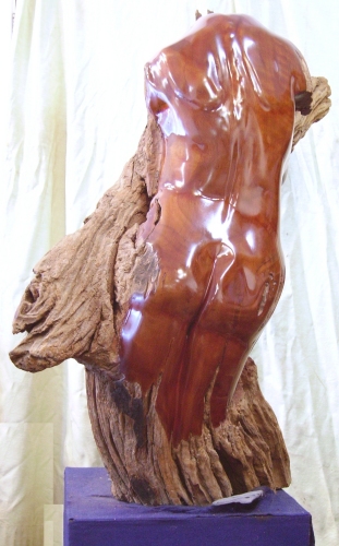 Click for enlargement