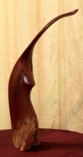 Click for details and enlargements of Leaf